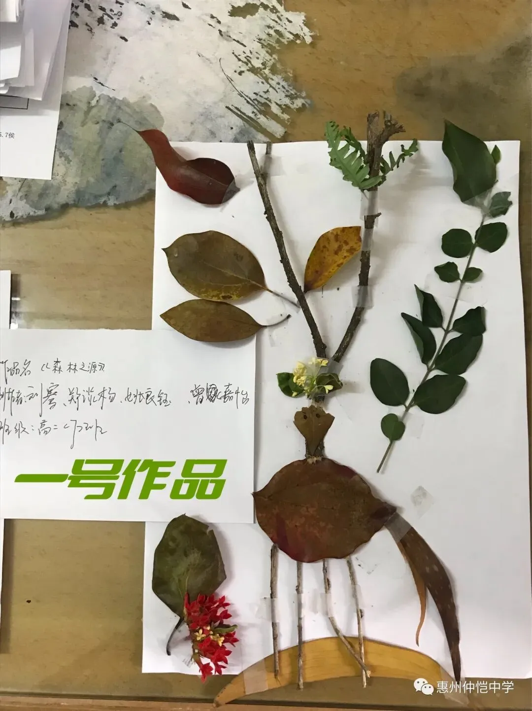 学生们在校园流芳亭区域布置绿植,打造绿色氧吧