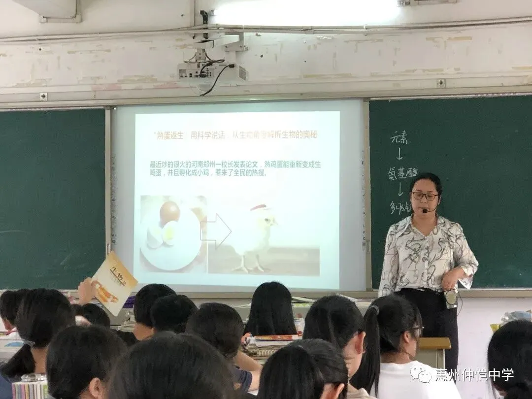 赵佳蓉老师的课堂板书与多媒体展示