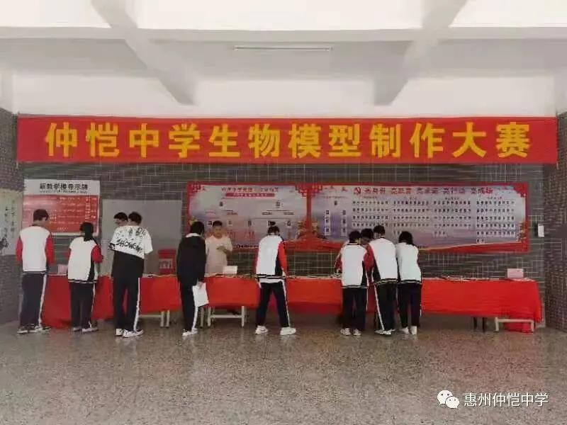 学生们展示获得的奖项