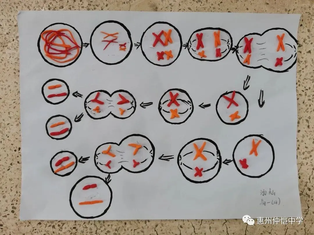 评委老师们正在进行作品评分