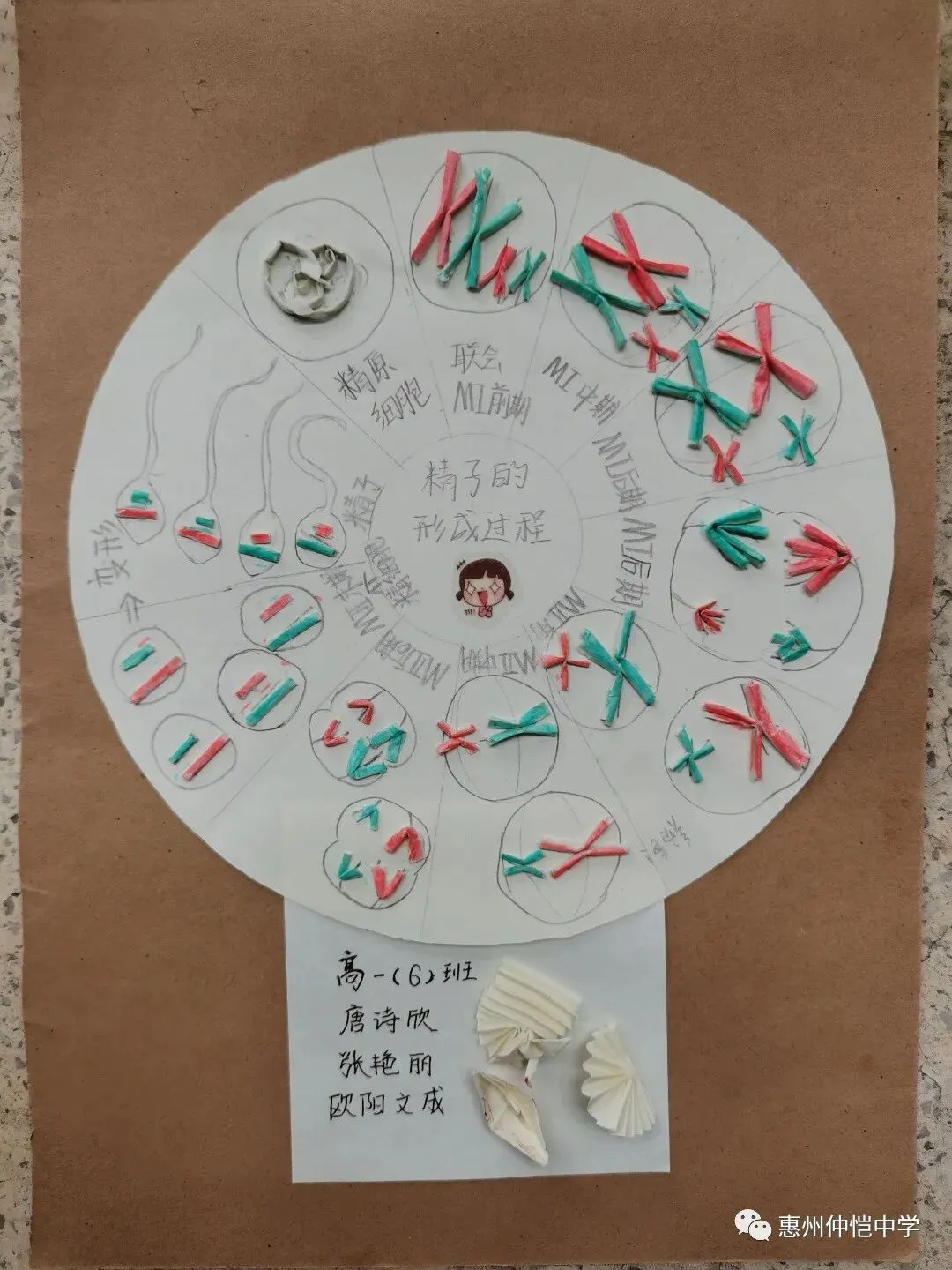 模型制作大赛的现场照片
