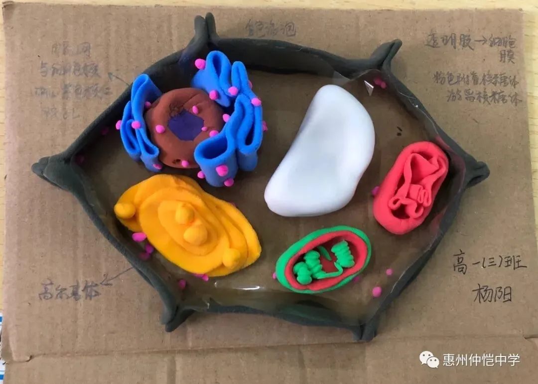 学生们在模型前合影留念