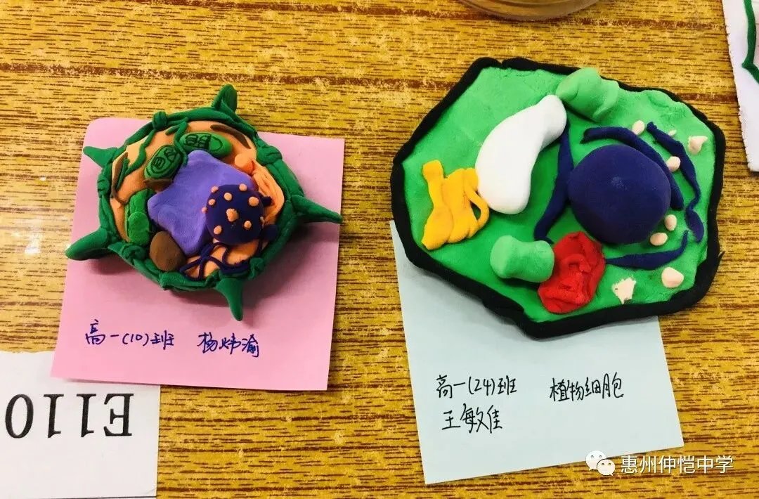 学生们展示他们的模型作品