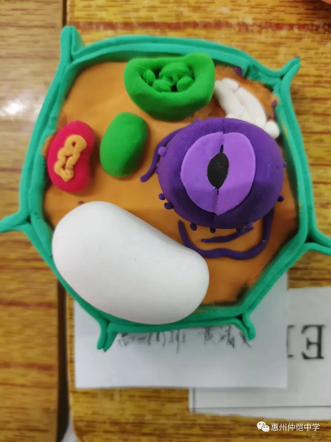 学生们对模型制作的投入
