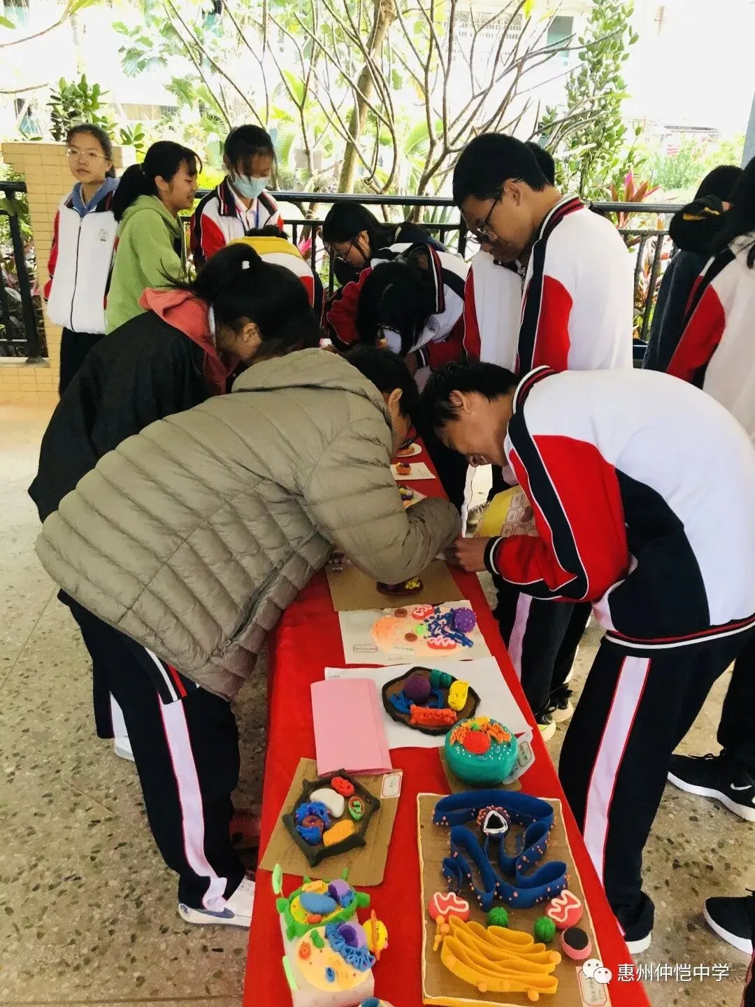 获奖作品展示区吸引众多学生围观