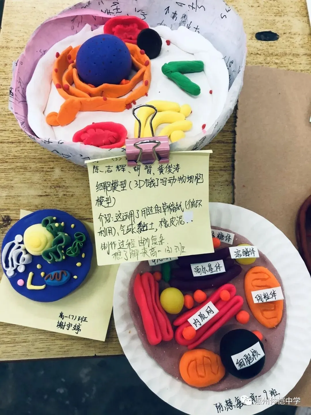 学生们展示他们的模型作品