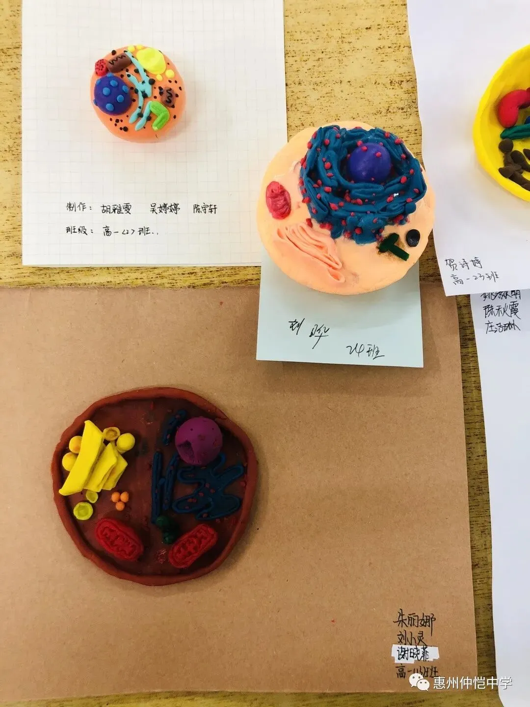 学生们展示他们的模型作品