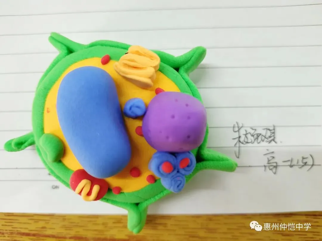 模型制作的细节展示