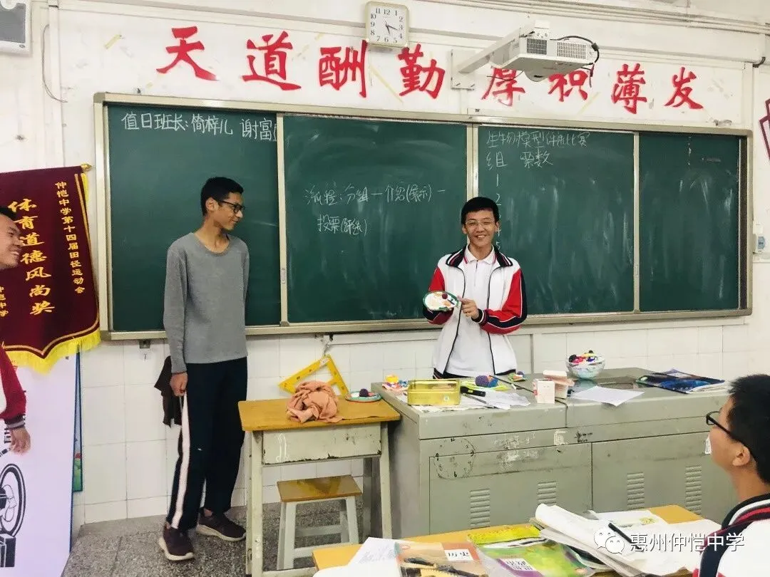 精美的真核细胞模型展示