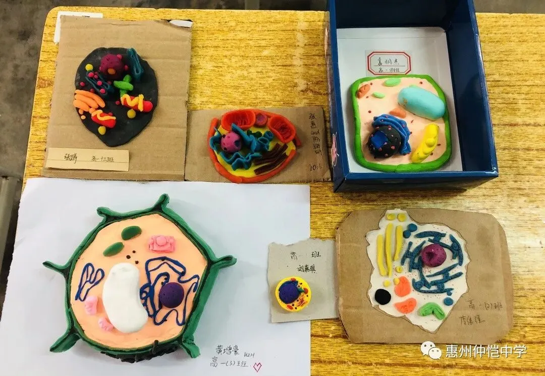 学生们展示他们的模型作品