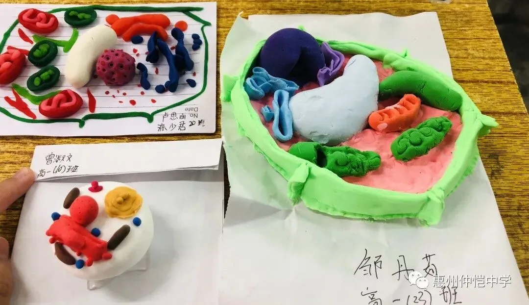 学生们展示他们的模型作品