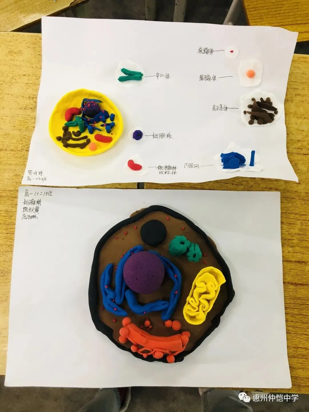 学生们展示他们的模型作品