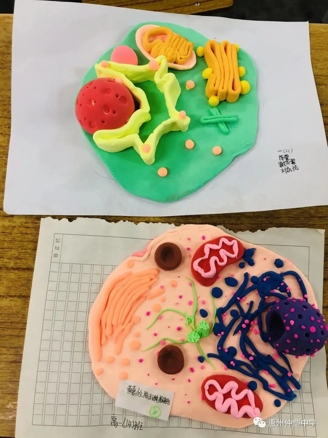学生们对模型制作的认真态度