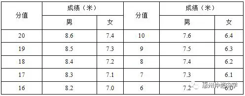 立定三级跳远评分表